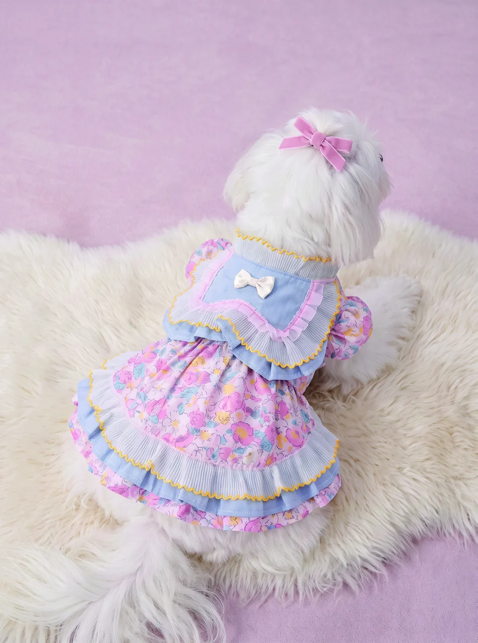 White dog wearing a pastel dress, NEOI pet catalog photograph