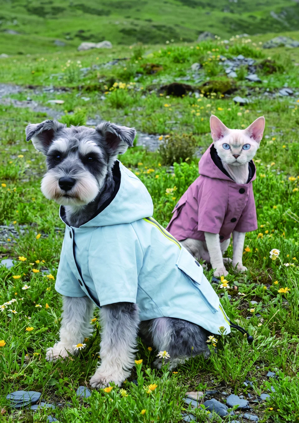 A dog and cat outdoors wearing outer layers in the NEOI pet catalog.