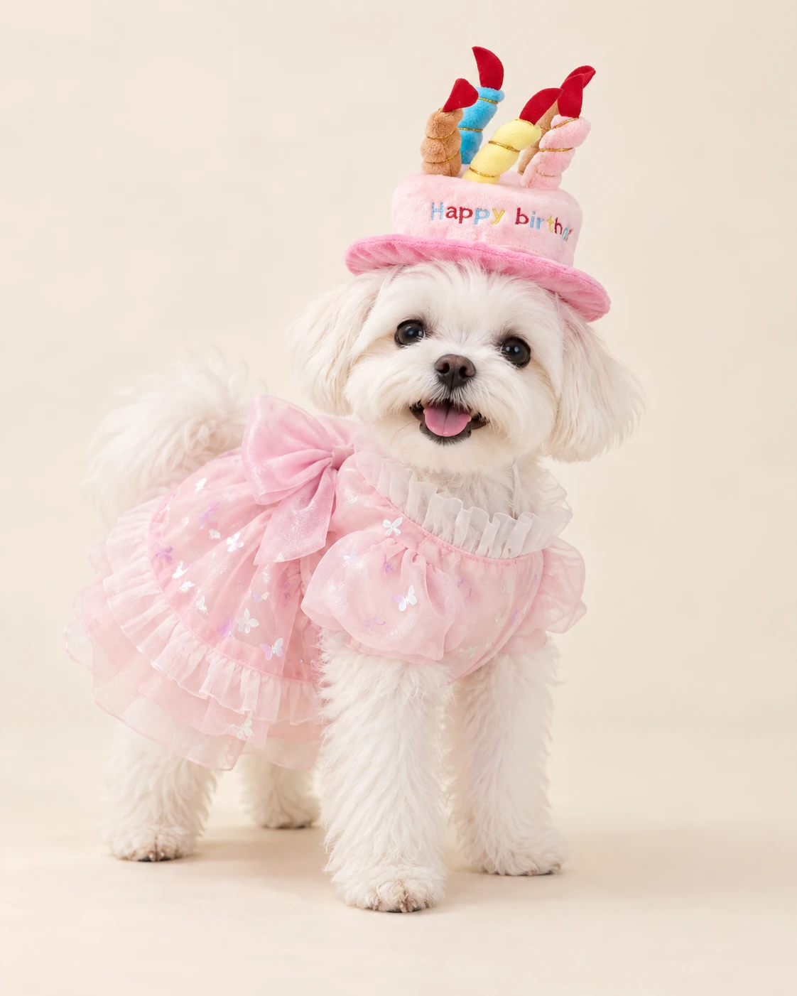 White dog in a pink candle hat and pink outfit