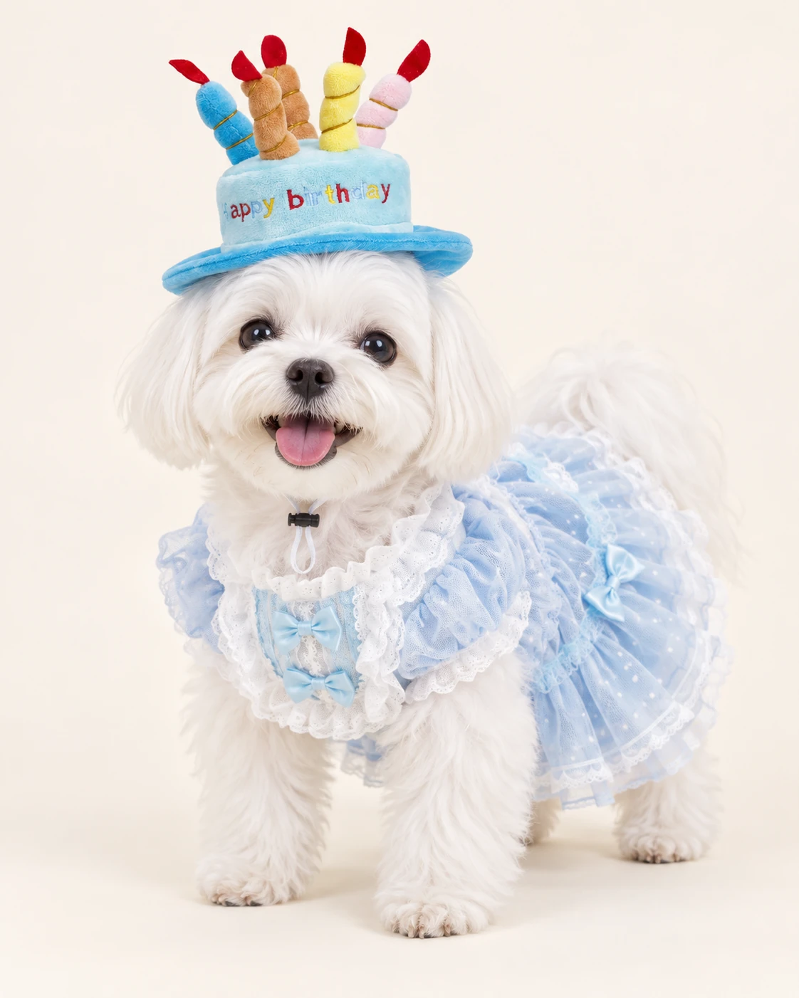 White dog in a blue candle hat and blue outfit