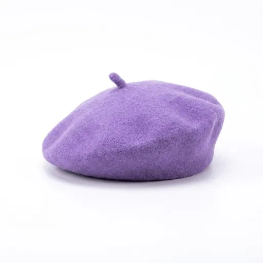 Purple beret-shaped pet hat