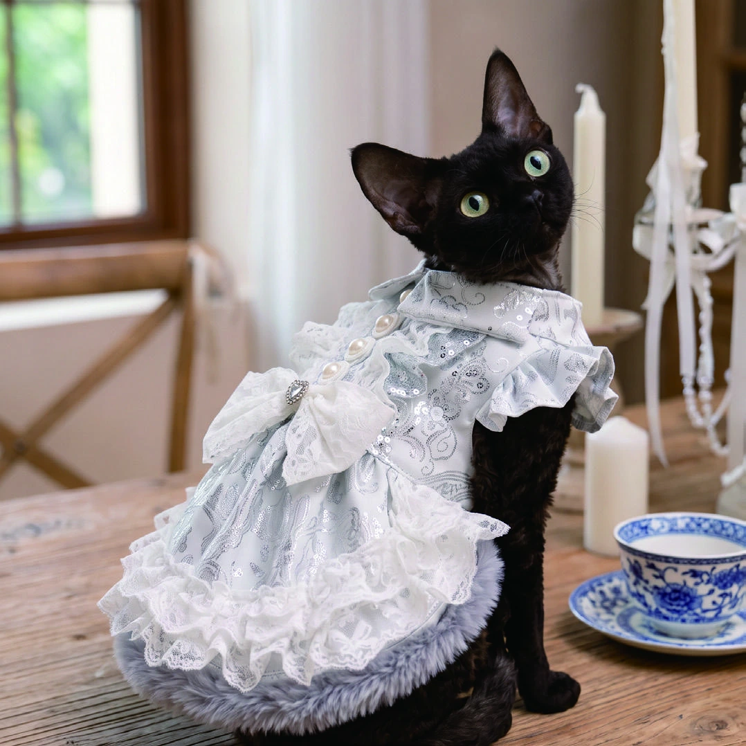 Ivory Ornamental Bow Dress, cat wearing the dress, back view