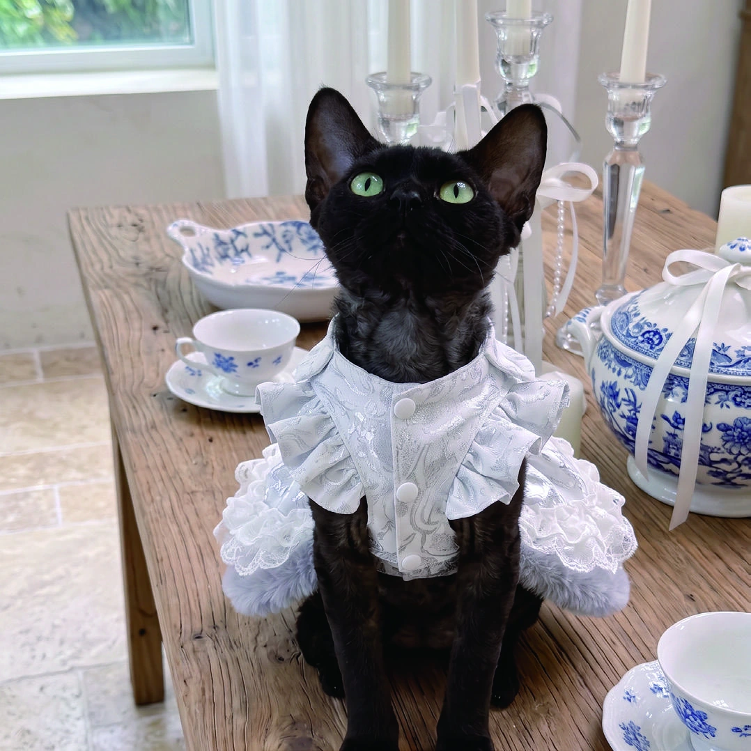 Ivory Ornamental Bow Dress, cat wearing the dress, front view
