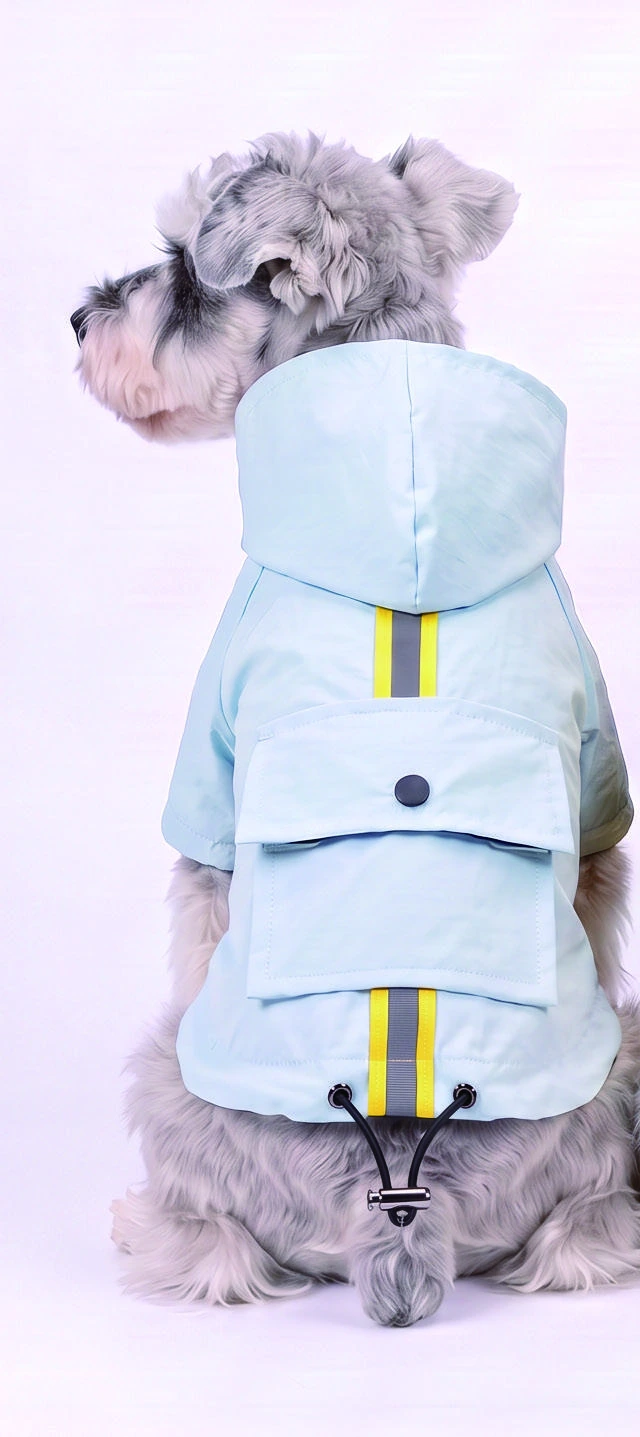 Back view of a dog in the pale blue hooded outer layer, showing its yellow-edged stripe, buttoned flap and hem cord