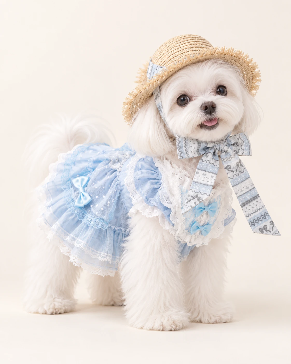 White dog in a blue outfit and a hat with long ribbon tails