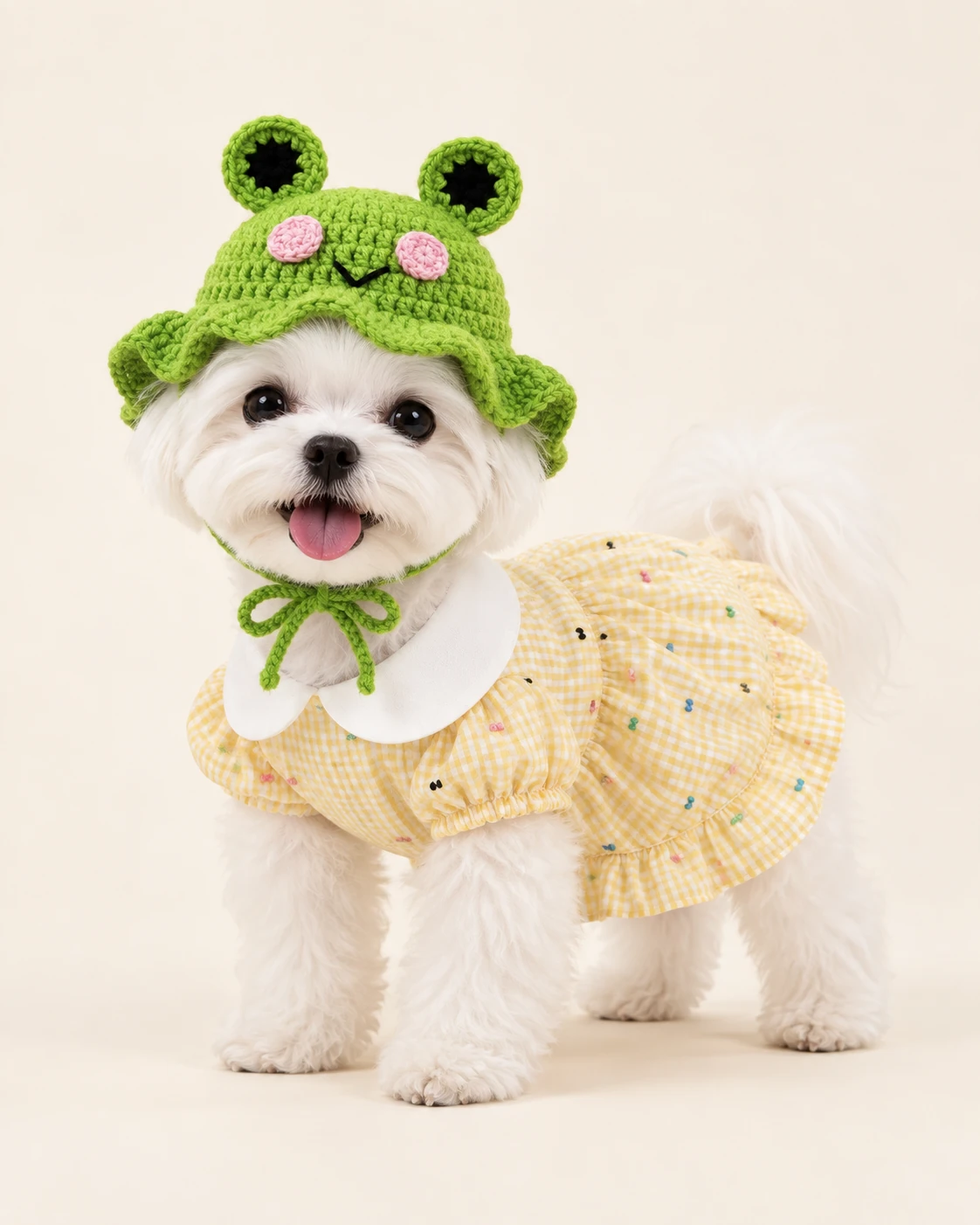 White dog in a green frog hat and yellow outfit