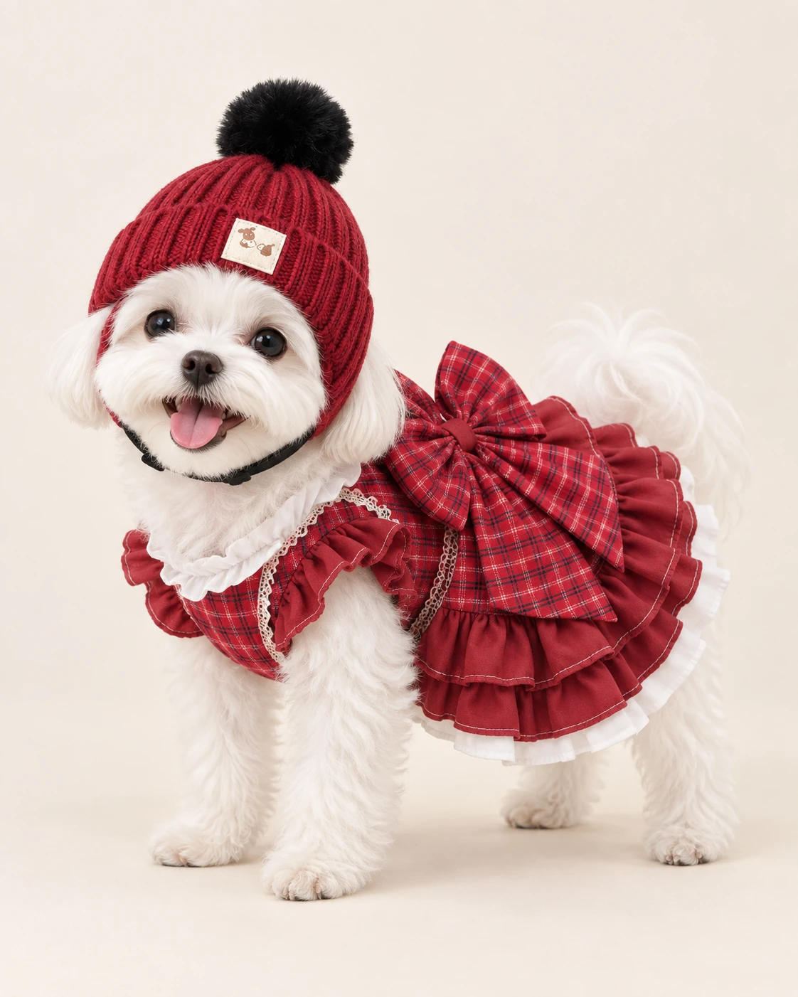 White dog in a red pom-pom hat and red plaid outfit